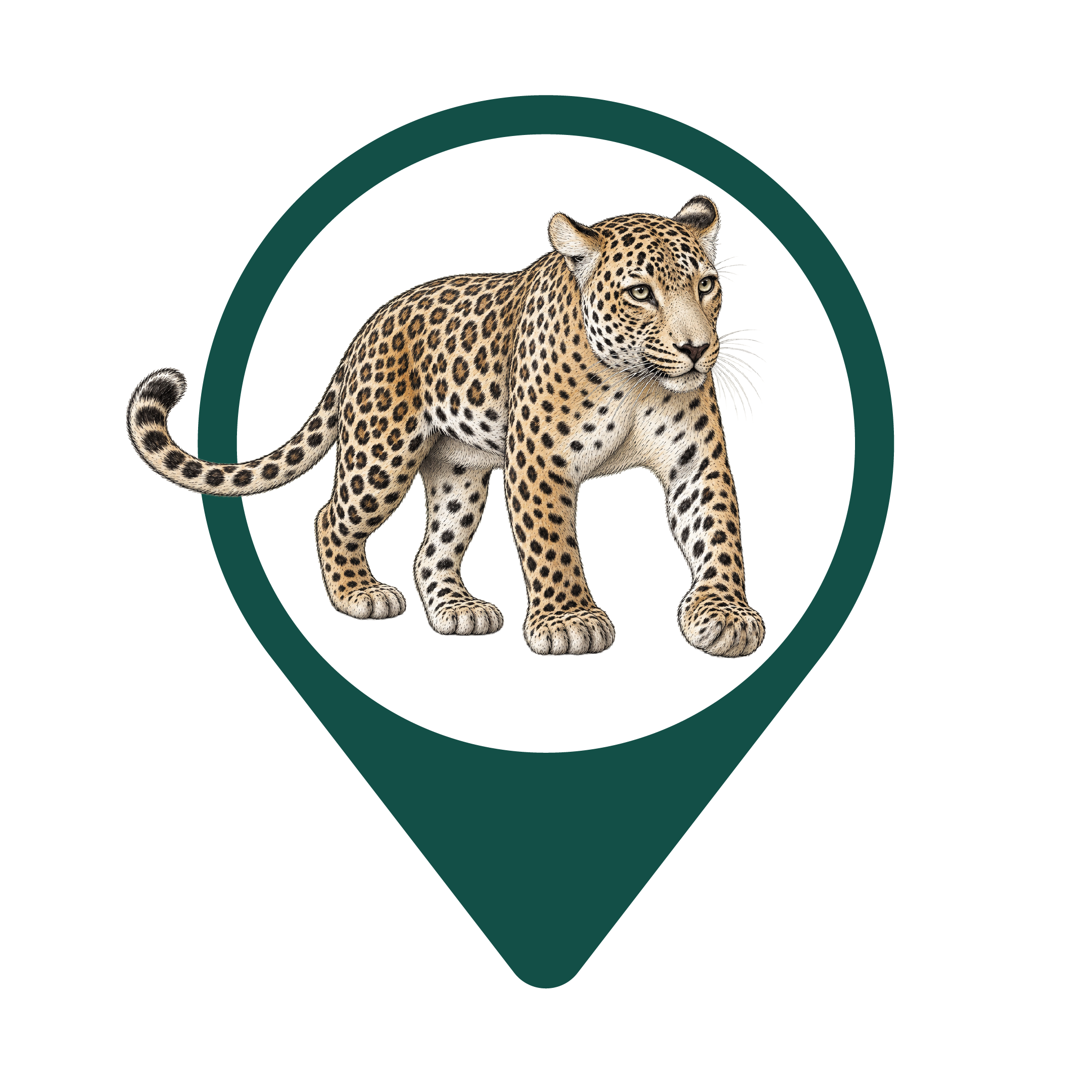 Persian Leopard
