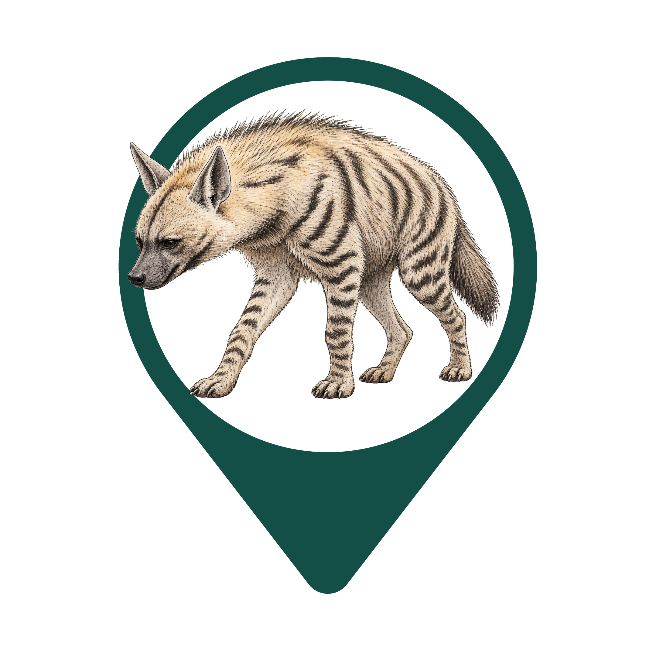 Striped Hyena